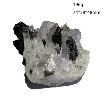 C6-7A Natūralus Kvarco Wolframite Fluorito Pryite Kristalų Mėginių Iš Yaogangxian Žėručio Hunan PROVINCIJOJE, KINIJA