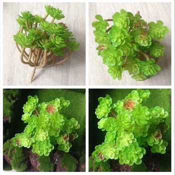 NuoNuoWell 3x Mini Žalia Sultingi Augalai Dirbtiniai Dirbtiniais Sultingi Imitacija Replika Augalų